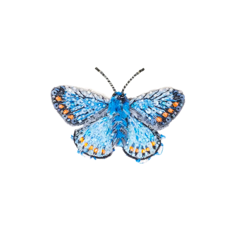 Adonis Blue Butterfly Brooch | Trovelore