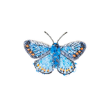 Adonis Blue Butterfly Brooch | Trovelore