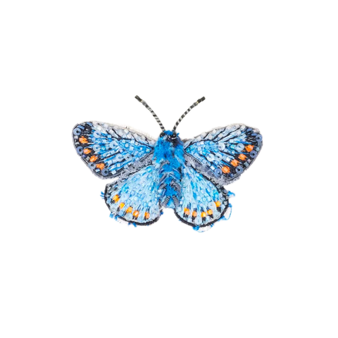Adonis Blue Butterfly Brooch | Trovelore