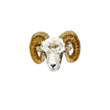 Bighorn Sheep Brooch | Trovelore