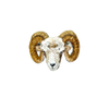 Bighorn Sheep Brooch | Trovelore