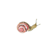 Blinking Snail Brooch | Trovelore