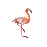 Caribbean Flamingo Brooch | Trovelore