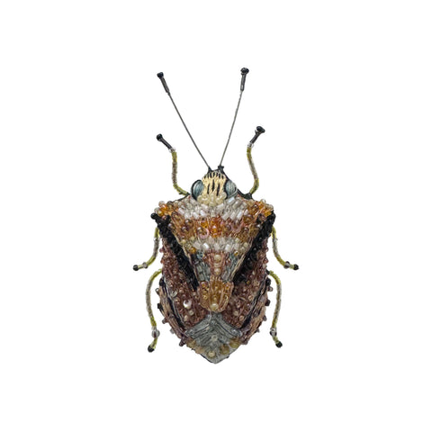 European Shield Bug Brooch | Trovelore