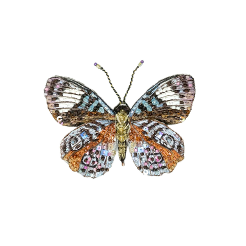 Emperor of India Butterfly Brooch | Trovelore