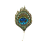 Luminous Peacock Brooch | Trovelore