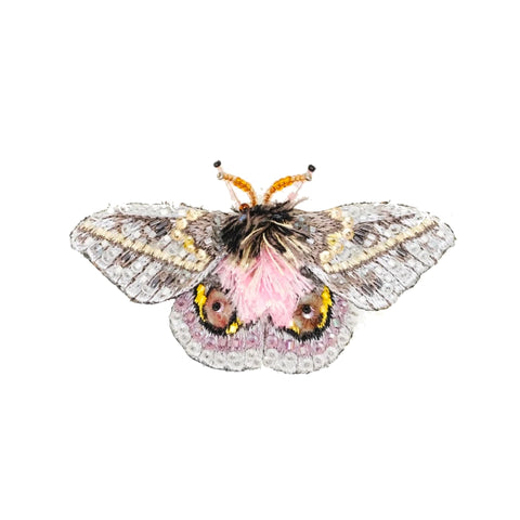 Pink Eyed Silk Moth Brooch | Trovelore