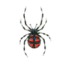 Redback Spider Brooch | Trovelore