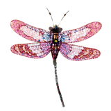 Roseate Skimmer Dragonfly Brooch  | Trovelore