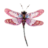 Roseate Skimmer Dragonfly Brooch  | Trovelore