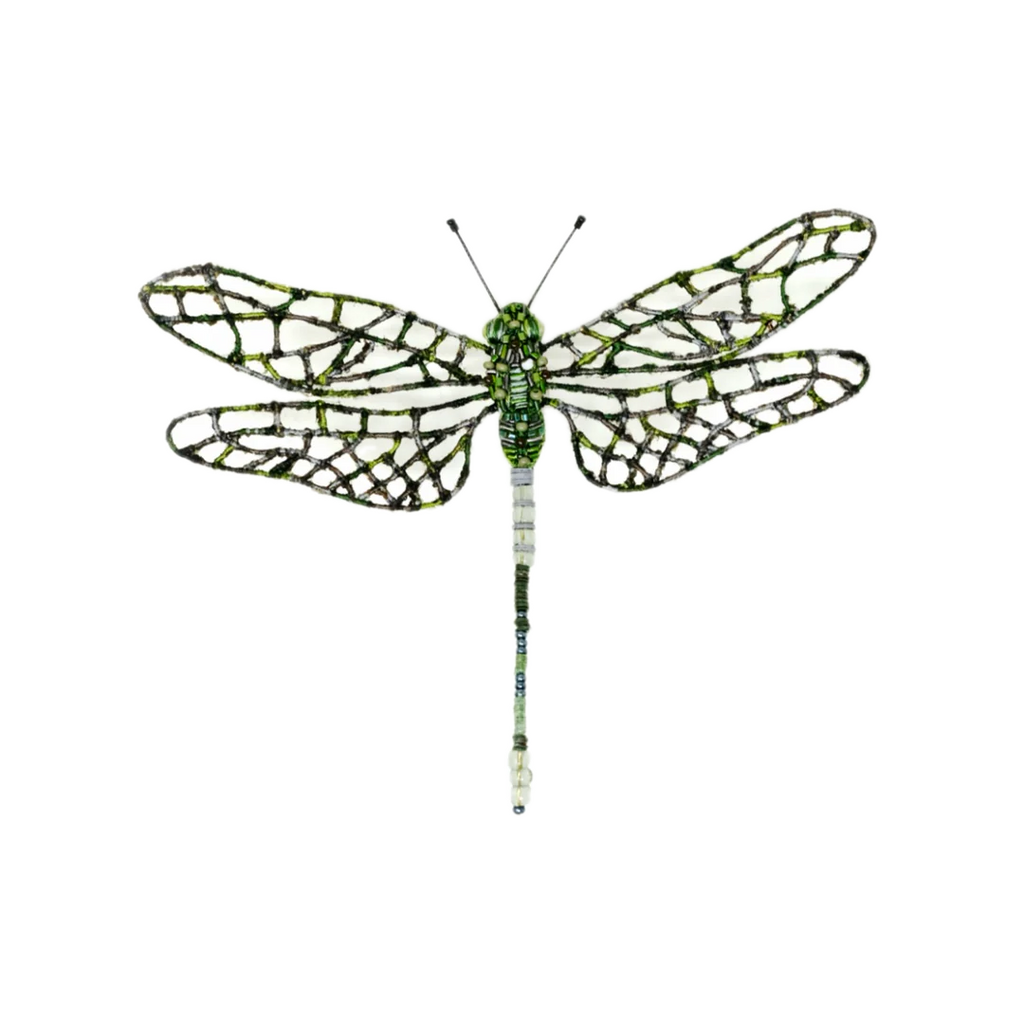 Southern Hawker Dragonfly Brooch | Trovelore