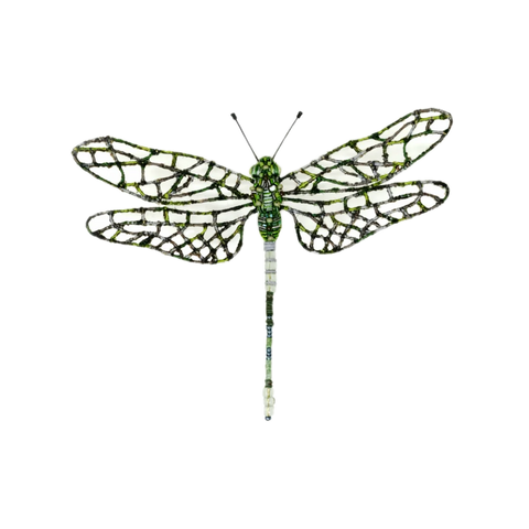 Scarce Swallowtail Brooch | Trovelore