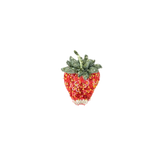 Sparkle Strawberry Brooch | Trovelore