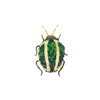 Tortoise Beetle Brooch | Trovelore