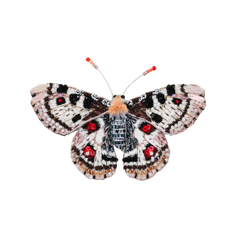 Giant Owl Butterfly Brooch  | Trovelore