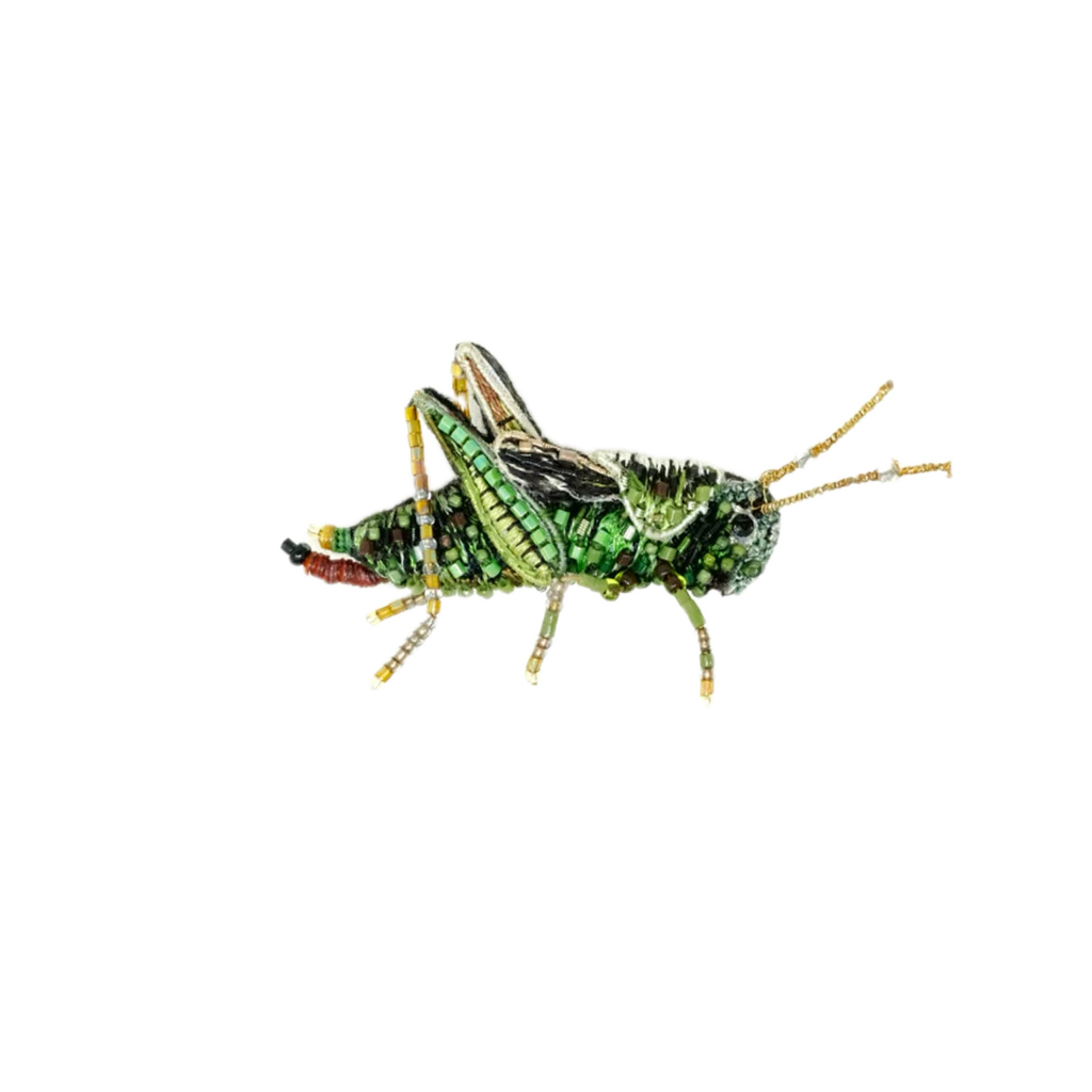 Two Stripped Grasshopper Brooch | Trovelore