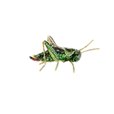 Two Stripped Grasshopper Brooch | Trovelore