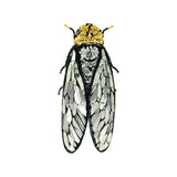 Oversized Walker's Cicada Brooch | Trovelore