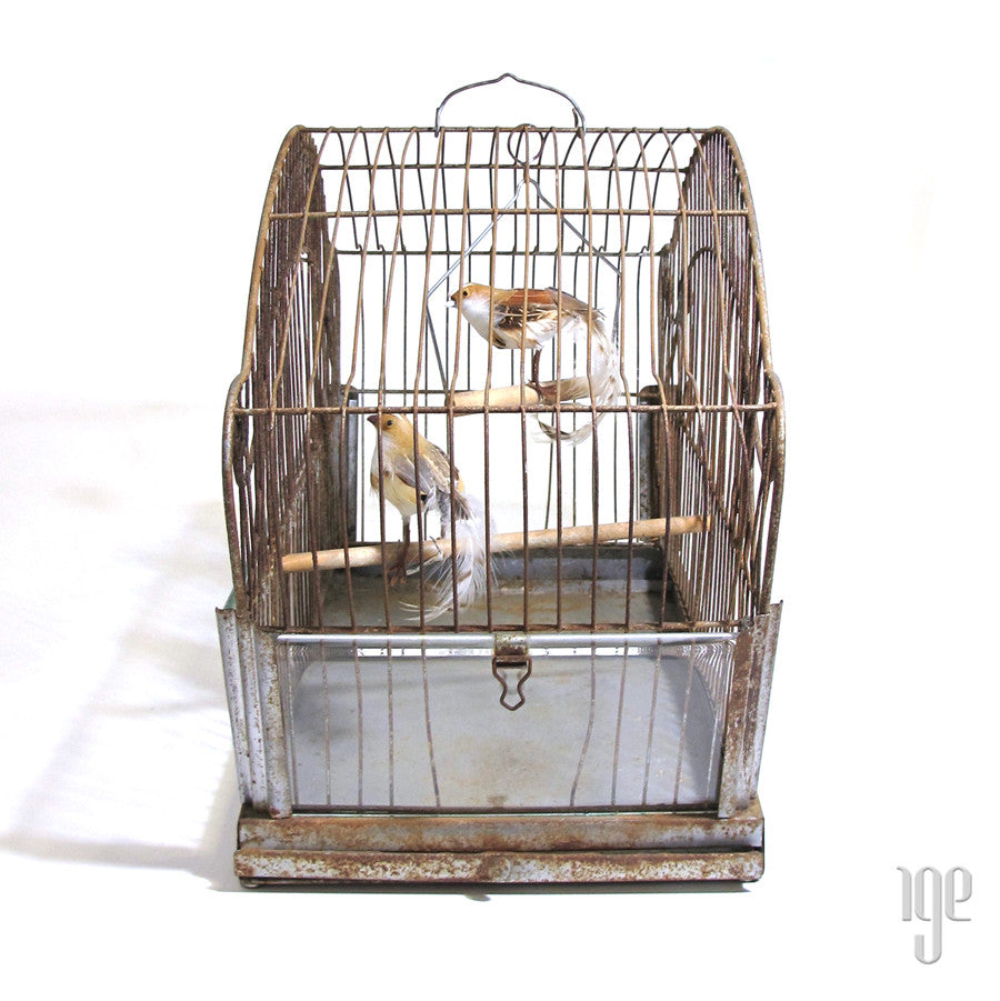 Brass Bird Cage with Etched Glass